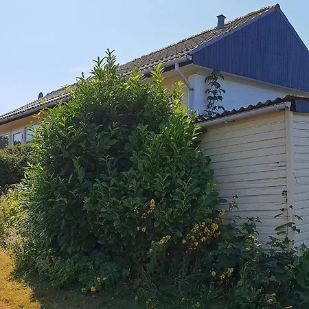 4 Person In Augustenborg